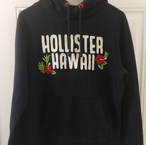 Hollister Mens Hooded Sweatshirt sz M